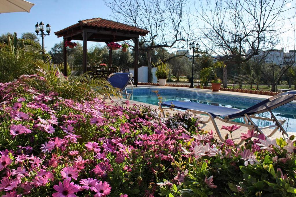 Villa Paradise Paphos Habitación foto